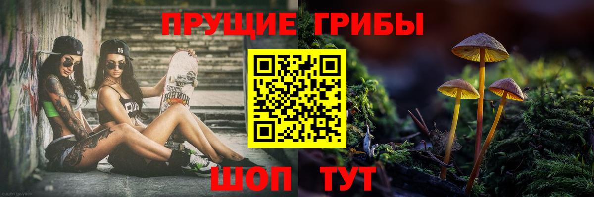 Галлюциногенные грибы Magic Shrooms Луга